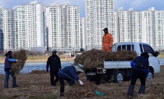 봄 단장하는 형산강변
