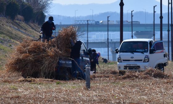 형산강 환경정비