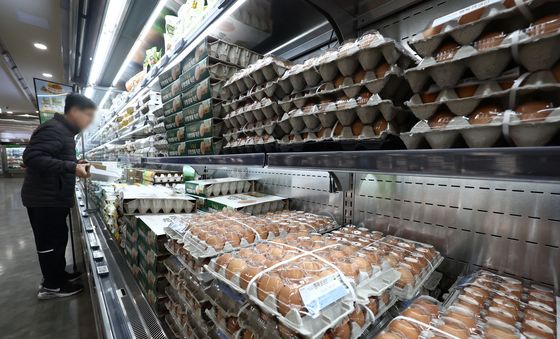 또 오른 계란 한판 가격