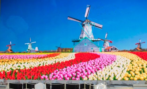 에버랜드, 튤립축제 오는 20일 개막