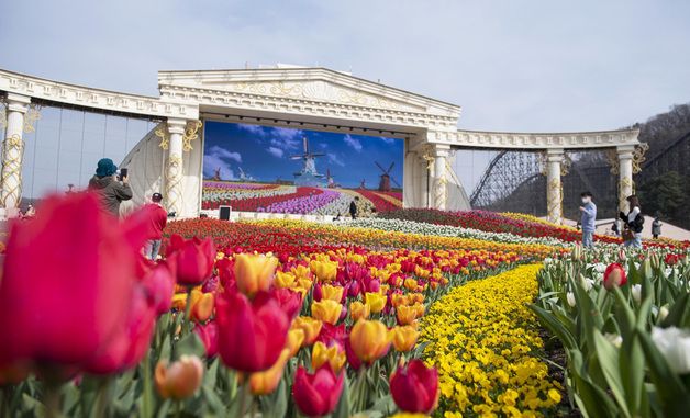 에버랜드, 튤립축제 오는 20일 개막
