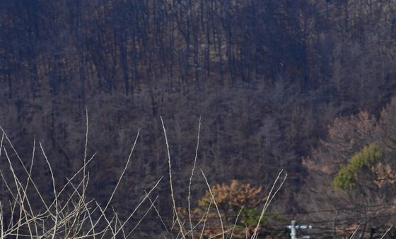 '산불 잊을 수 가 없지요'