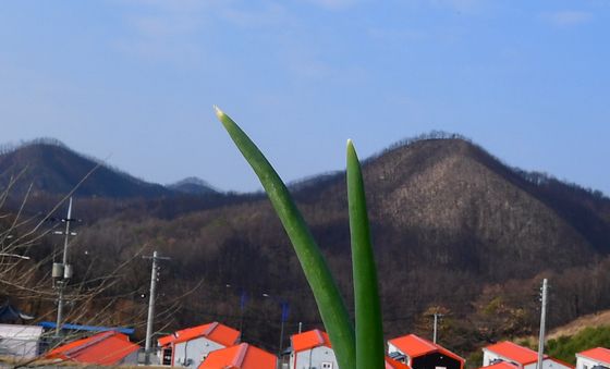 영덕 산불 1년, 지워지지 않는 상흔