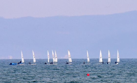 줄맞춰 달리는 딩기요트