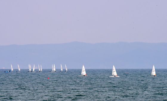 달려라 딩기요트