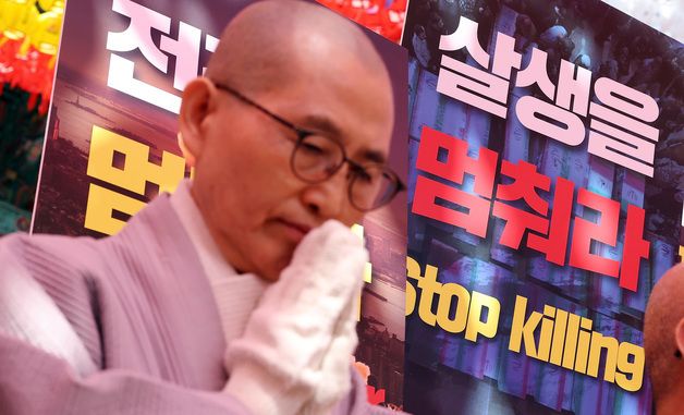 평화를 위한 합장