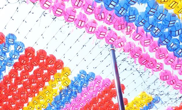 '평화를 위한 오체투지'