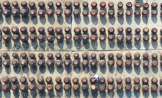 사흘 앞으로 다가온 춘분