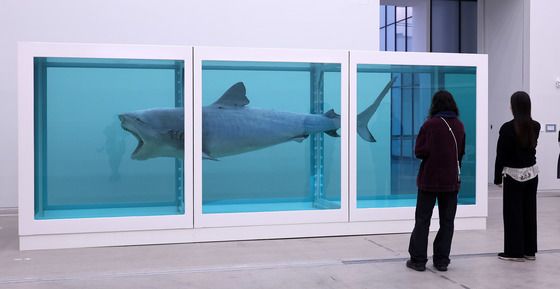 상어 데리고 서울 온 데이미언 허스트