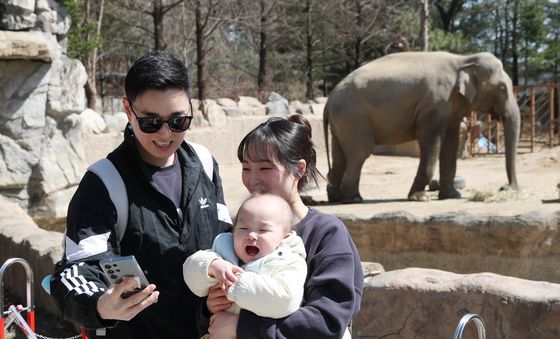 코끼리 아저씨와 함께