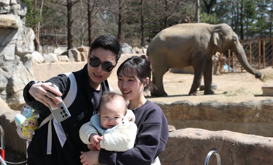 코끼리 아저씨와 함께