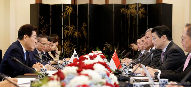 한·싱가포르 정상회담 발언하는 이재명 대통령