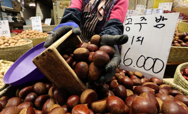 부럼 준비하는 상인