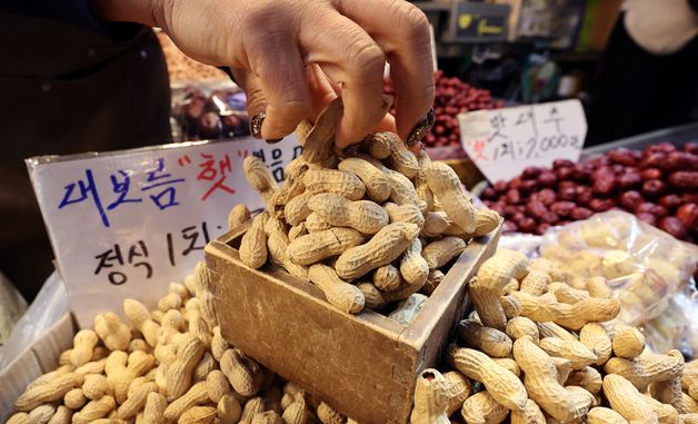 '부럼 준비하세요'