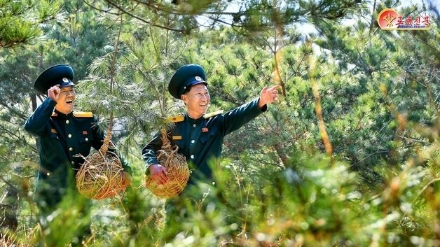 "깨끗한 양심 바친다"…北, 증산군 산림 일꾼들 선전