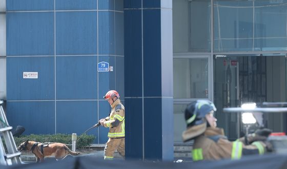 투입되는 구조견