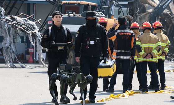 실종자 수색 로봇개 투입