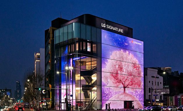 LG전자 플래그십 'D5'가 벚꽃 명소로