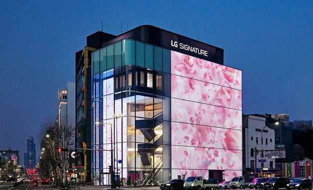LG전자 플래그십 'D5'가 벚꽃 명소로