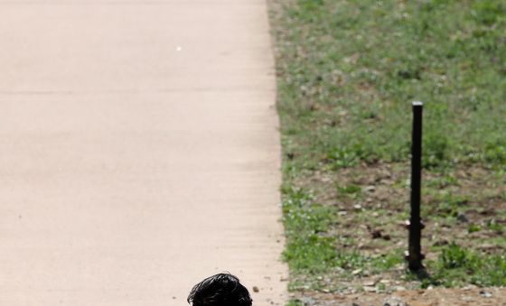 '완연한 봄' 산책하기 좋은 날씨