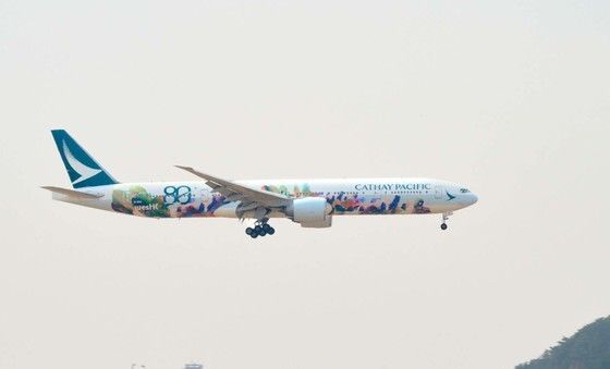 케세이퍼시픽, 창립 80주년 맞아 특별 도장기 공개