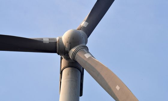 대형 접착물체의 정체는