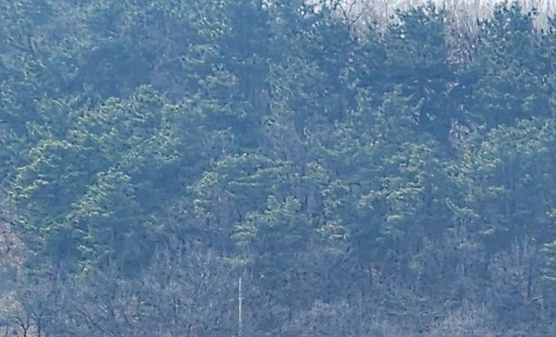 물에 빠진 산불 진화헬기