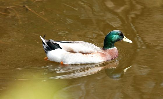 등에는 따뜻한 봄햇살