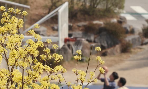 봄기운 속 반팔 차림 농구