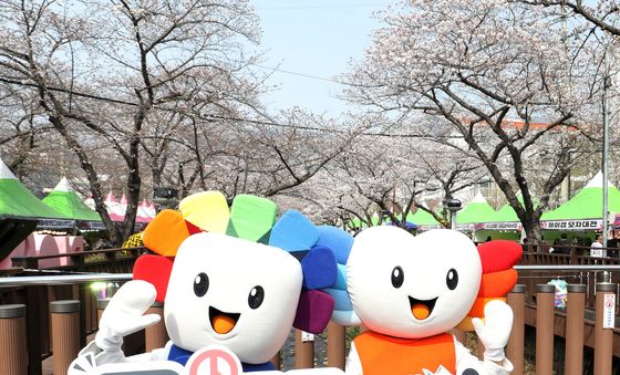 진해군항제서 선거 투표 참여 홍보 캠페인