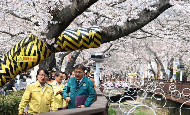 진해군항제 축제장 현장점검하는 김광용 본부장