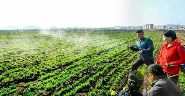 北, 사동구역 농장서 가물피해 최소화 총력