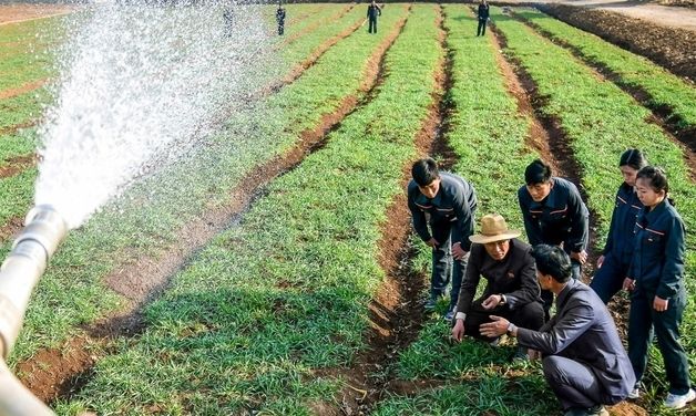 北, 가뭄 대응 총력…류소남새농장 물주기 대책