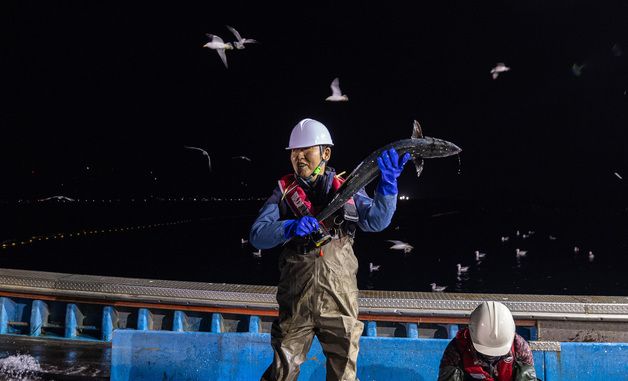 영덕 조업 현장 체험나선 정청래 대표