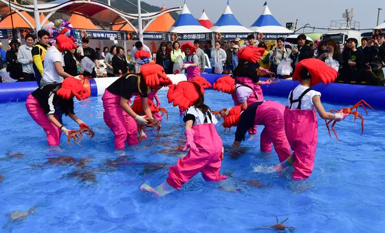 오늘은 대게잡는 날