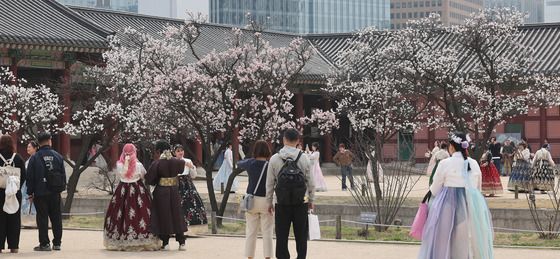 봄꽃 핀 경복궁