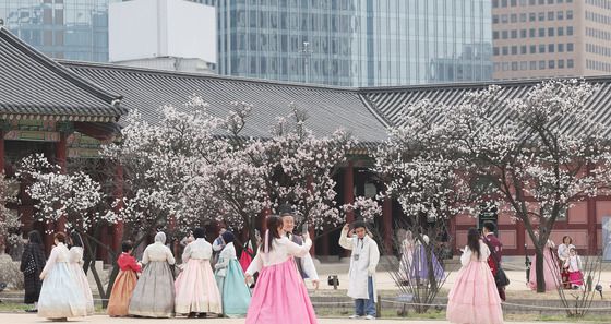 경복궁에 핀 봄꽃