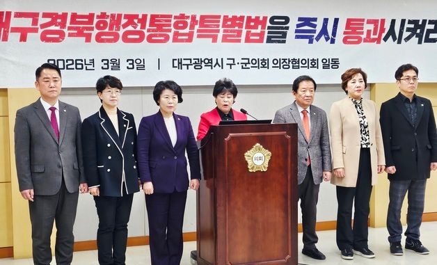 대구 구·군의회의장협 \"TK통합법 통과해야\"