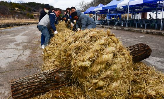 정워대보름 줄다리기 시합