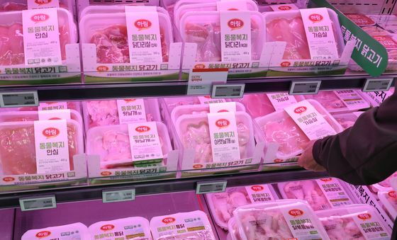 '닭고기 구매 고민되네'