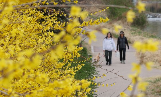 포근한 봄 날씨
