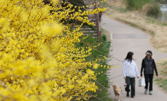 포근한 봄 날씨