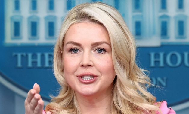 [포토] 캐롤라인 레빗 백악관 대변인 브리핑