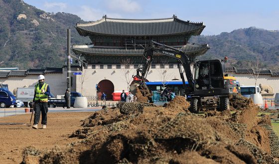 '잔디 교체하는 광화문광장'