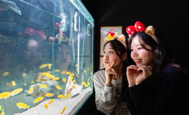 롯데월드 어드벤처, 복합 포토부스 매장 '포토 스트리트' 오픈