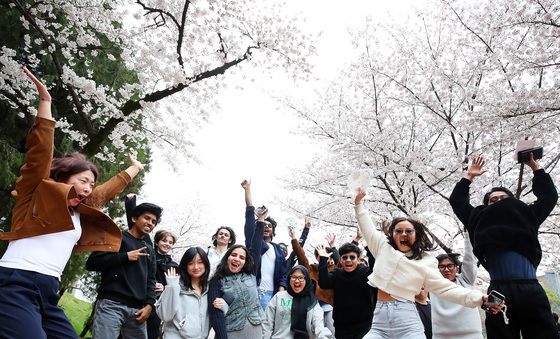 신나는 벚꽃 축제