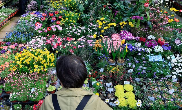 '어떤 꽃이 좋을까'