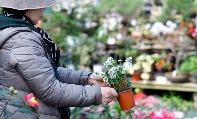 '어떤 꽃을 심어볼까'