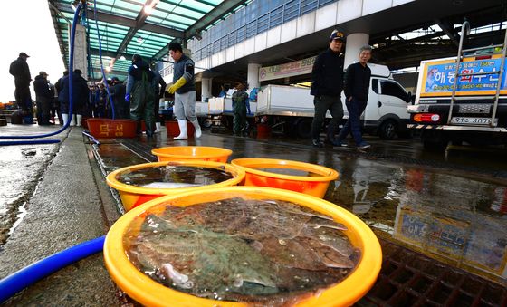 도다리와 가자미 '얼마나 받을까?'