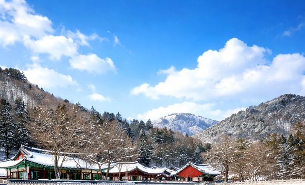 '하얀 눈'으로 뒤덮인 인제 백담사 일대